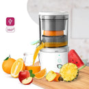 Espremedor de frutas elétrico inoxidável