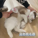 Escova removedora de pelos para Pet